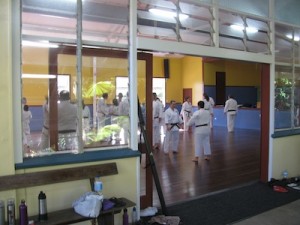 Looking-Into-Dojo