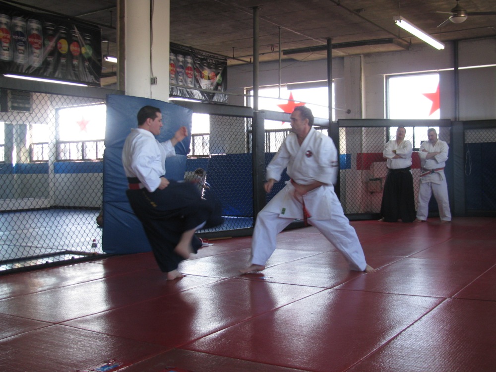 Shihan Henderson And Shihan Mark Filippelli Perform Naihanchin Waza Kumite