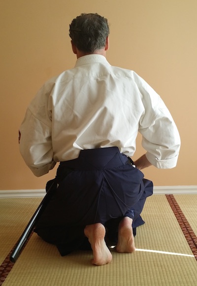 Iai-Goshi Back View Iai-Goshi Back View